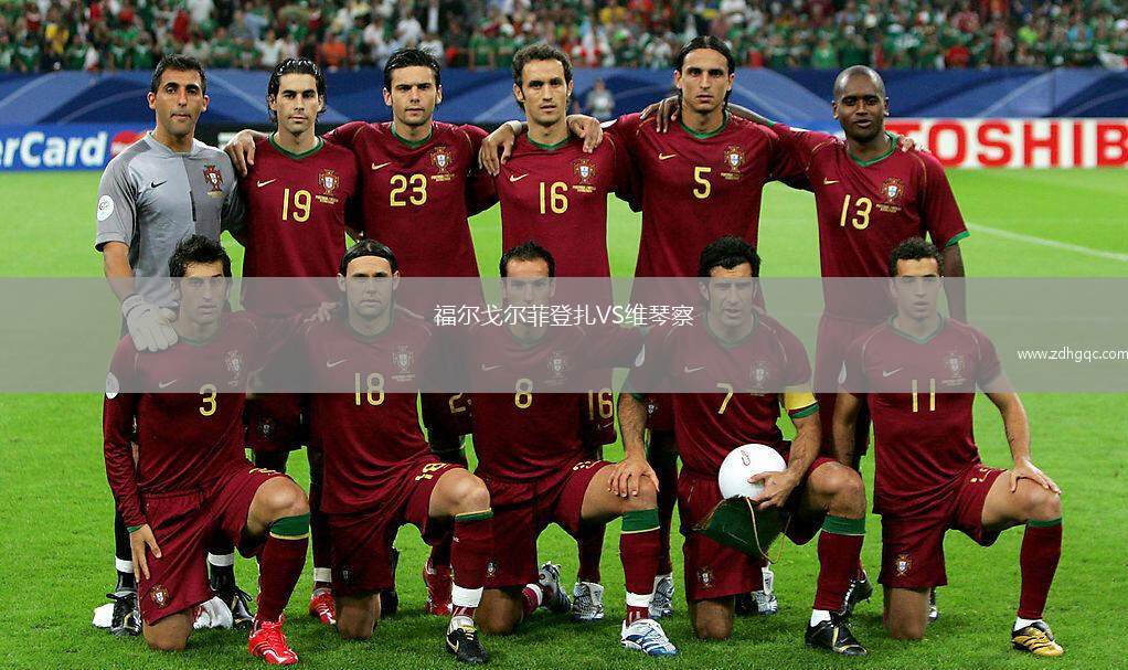 福尔戈尔菲登扎VS维琴察