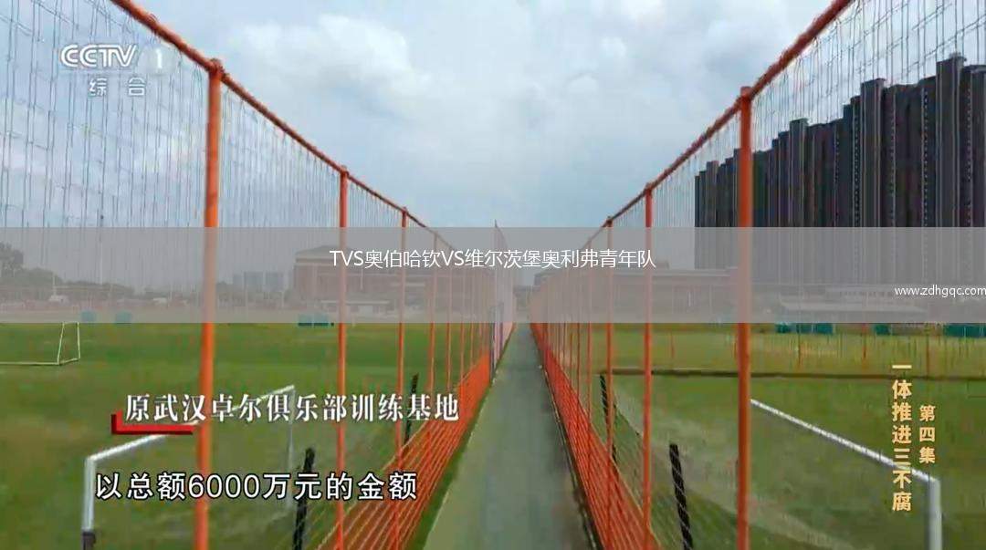 TVS奥伯哈钦VS维尔茨堡奥利弗青年队