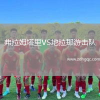 弗拉姆塔里VS地拉那游击队