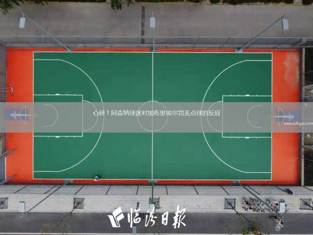 心碎！阿森纳球迷对加布里埃尔罚丢点球的反应