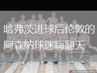 哈弗茨进球后伦敦的阿森纳球迷嗨翻天