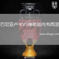 巴尼亚卢卡VS维勒兹内韦西涅