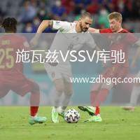 施瓦兹VSSV库驰