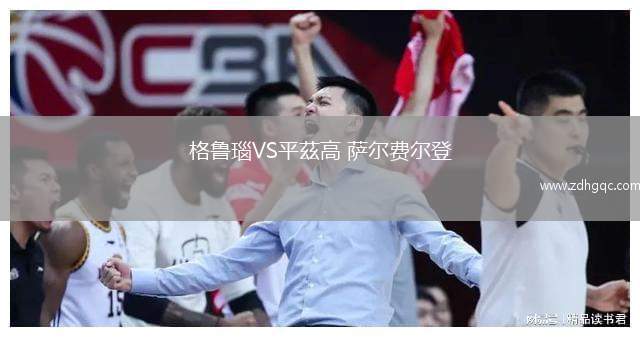 格鲁瑙VS平茲高 萨尔费尔登