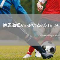 博恩海姆VSSPVG波茨1919