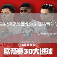 埃尔朗根VS因戈尔施塔特青年队