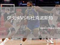 伊戈卡VS布杜克诺斯特