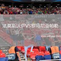 法莫斯沃伊VS罗马尼亚帕勒