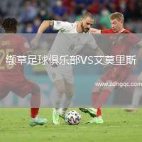 缬草足球俱乐部VS艾莫里斯